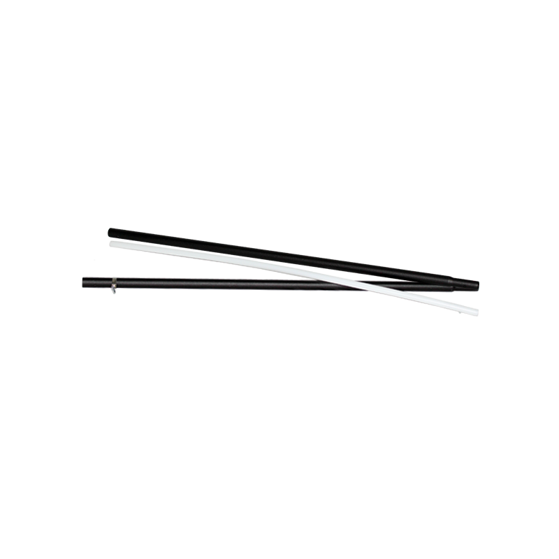 Mât voile Windfoil 1